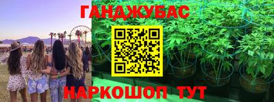 круглые Лесосибирск