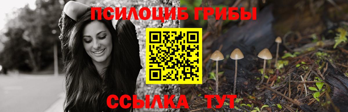Галлюциногенные грибы Cubensis  Вход с VPN  Дмитров 