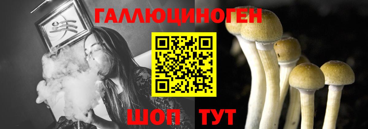 Псилоцибиновые грибы прущие грибы Дмитров